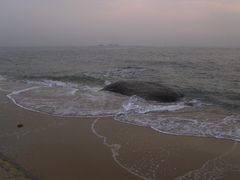 -日照灯塔风景区