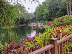 -晓港公园