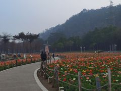 -顺峰山公园