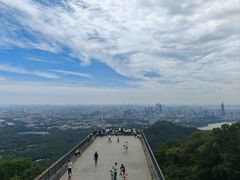 -紫金山山顶公园