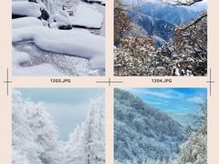 -秦岭风景区