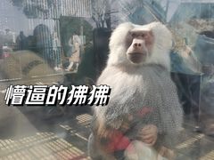 -无锡动物园·太湖欢乐园