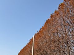-嘉北郊野公园