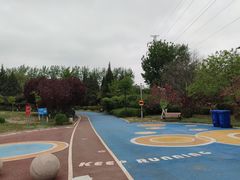 -太阳宫公园