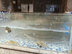-喜庭海鲜自助(北辰三角洲北辰荟店)