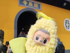 -无锡梅园公园