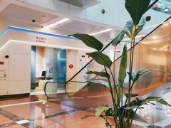 -中国建设银行(上海浦东分行)