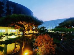 -罗红摄影艺术馆