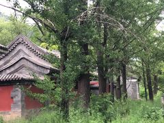 -阳台山自然风景区