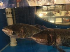 -上地宴·中关村的会客厅(清河高铁站店)