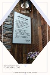 -MOZZ木子造型