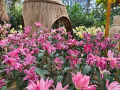 -郑州中国绿化博览园