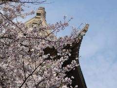 -龟山风景区-龟山电视塔