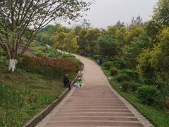 -金海湾滨江公园