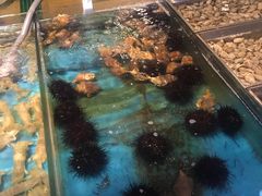 -渔公码头海货全海鲜自助(海滨旅游路店)