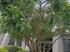 -厦门国家会计学院