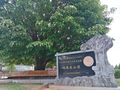 -蝴蝶泉公园