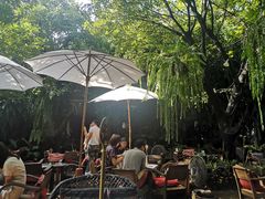-Fern Forest Cafe
