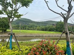 -上海佘山国家森林公园天马山园