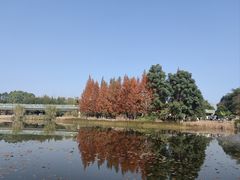 -白鹭·烟汀自然美学餐厅(白鹭湾店)