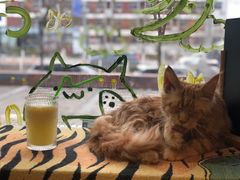 -平行世界·猫咖(首经贸店)