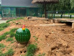 -秦皇岛野生动物园