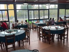 -古榕农庄·清远鸡·泥焗鸡·无花果药膳桑拿鸡(清远银盏温泉店)