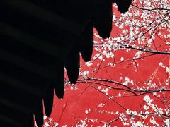 -钱王祠