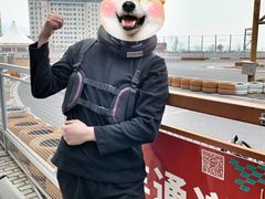 -千岛湖燃擎卡丁车赛车主题乐园(秀湖路店)