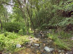 -云岫谷游猎自然风景区