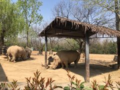 -西安秦岭野生动物园