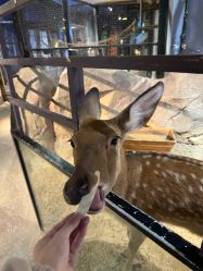 -酷嗒动物文化乐园(cutezoo西溪乐天城店)