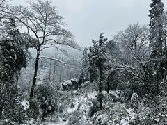 -峨眉山风景名胜区