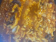 -红辣椒八爪鱼特色韩国料理