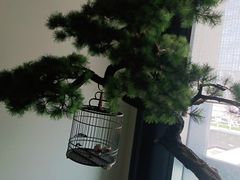 -潮上潮(南中环店)