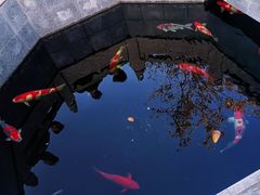 -西安市广仁寺