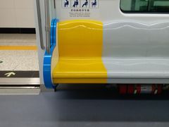 -奥体中心(地铁站)