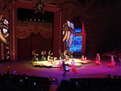 -珠海横琴长隆《卡卡虎奇遇记》