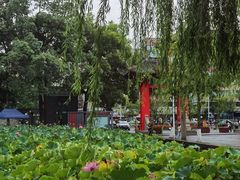 -四川大学(望江校区)