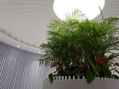 -LANN I 蘭 SPA(陆家嘴中心店)