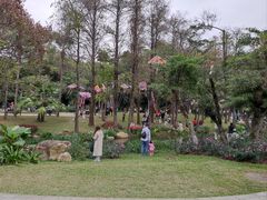 -人民公园(罗湖区)