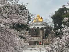 -苏州上方山国家森林公园