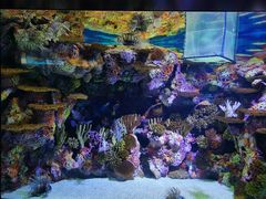 -上海海洋水族馆