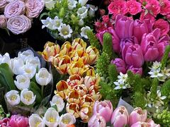 -双季花艺园艺市场(浦东店)
