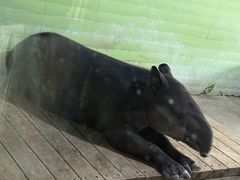 -石家庄市动物园