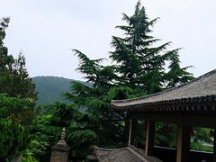 -香山寺