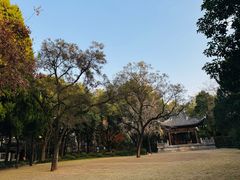 -汇龙潭