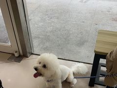 -艾贝尔宠物医院 ·中兽医·宠保定点(北门桥店)