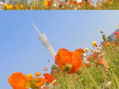 -海心沙亚运公园