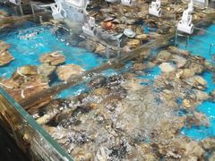 -盒马鲜生(曜一城店)